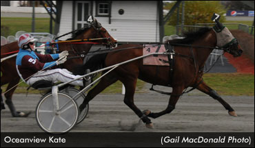 CDP Hosts Island Breeders Finals; Drive For Charity Concludes