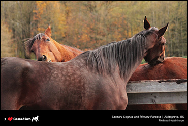 October's Calendar Photographer