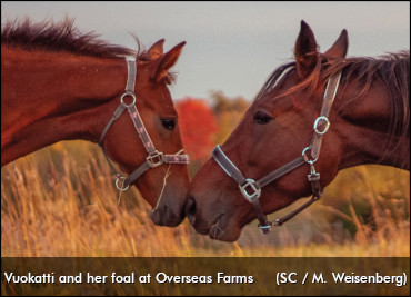 October's Calendar Photographer