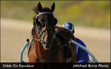 Odds On Equuleus, Market Share Headline Qualifiers