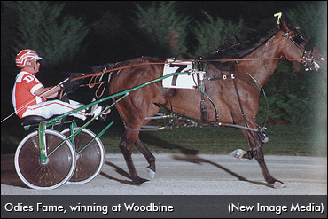 Woodbine Top Ten: #8