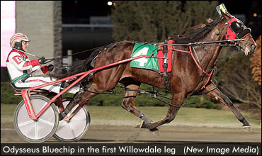 Willowdale Series Begins At Woodbine