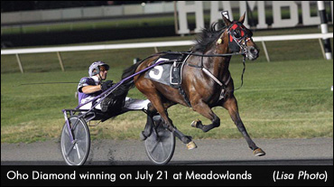 Oho Diamond Breaks 'Big M' Record
