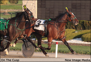 'On The Cusp' Of Grassroots Success