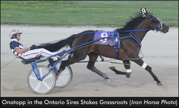 Onatopp's Stakes Win A Family Effort