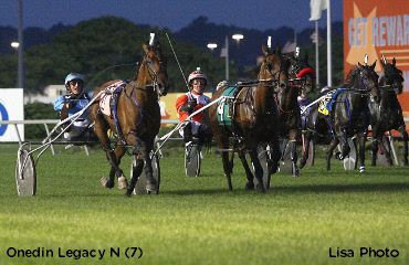 Onedin Legacy N Wins Harness Turf Test