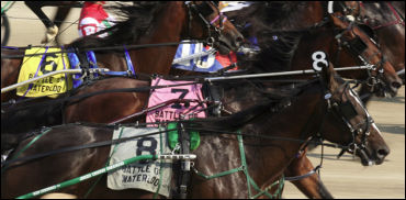 More Support For Ontario Racing