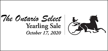 Ontario Select Yearling Sale Complete