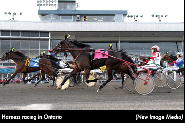 Support Payments Announced For Ontario Harness Horsepeople