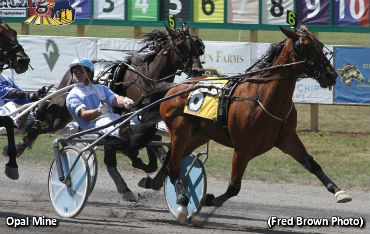 Opal Mine Takes Tioga Open Trot