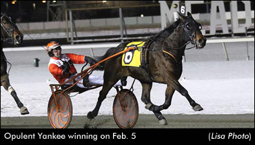 Opulent Yankee Wires Trotters; Pick 5 Hit