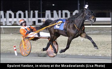 Gelding Proving Miller Right