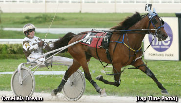 Ornellaia Dream Keeping Top Form