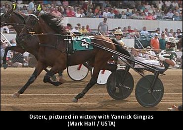 Hambo Eligible To Begin His Quest