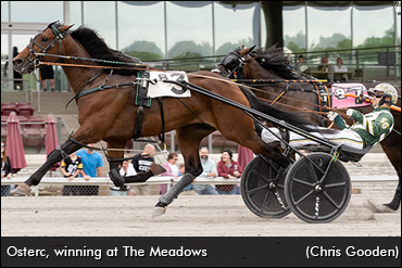 Engblom High On Hambo Duo