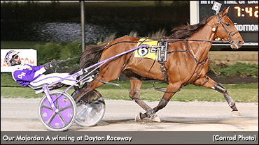 'The Nicest Horse I've Ever Owned'