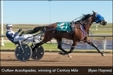 'Aceofspades' Pushes Up The Ante