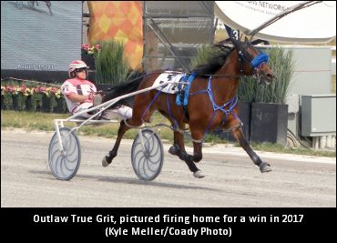 Starkewski’s Looking For More