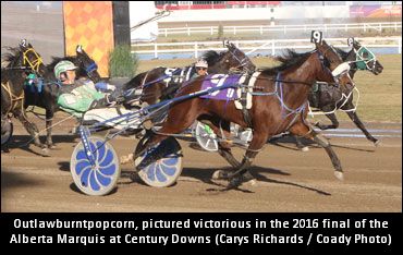 Update On Fun For Fans Stable