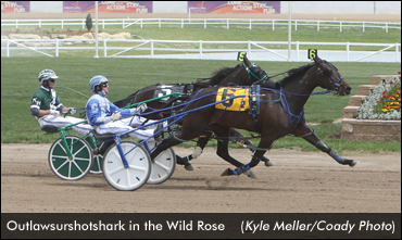 Favourites Sweep Wild Rose Stakes