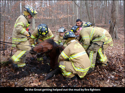 Dominika And 'Ozzy's Wild Ordeal