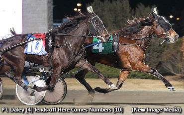 P L Daley Delivers In Don Mills 