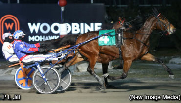 Preferred Tally For P L Jill