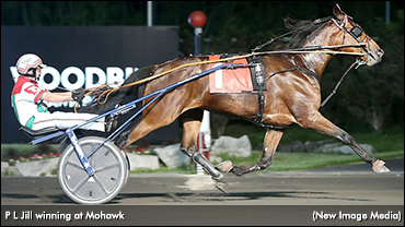 P L Jill Powerful In Mohawk Preferred