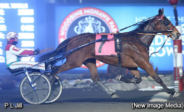 P L Jill Powerful In Preferred