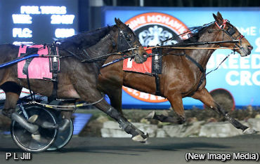 P L Jill On A Serious Roll