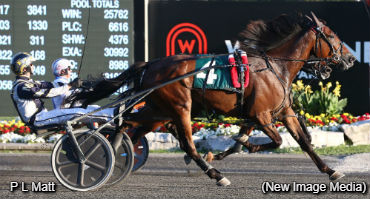 Crunch Time For OSS Grassrooters