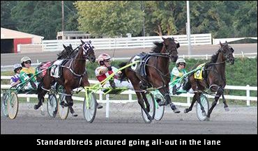 Combating Genetic Modification