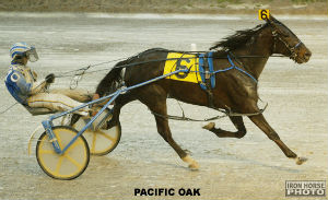 There’s No Stopping Pacific Oak