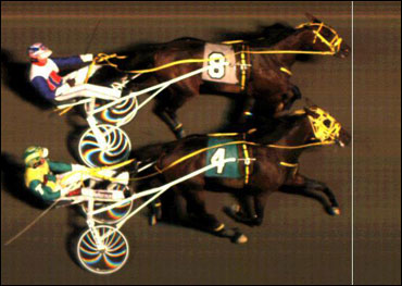 Stablemates In Fastest Trotting Dead-Heat