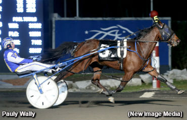 Pauly Wally On A Roll