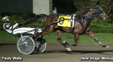 The New And Improved Pauly Wally