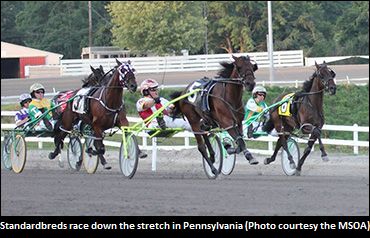 Standardbred Racino Proposed In PA