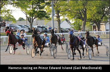 Racing Mentioned In PEI Discussions