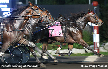 Perfetto Pops In Preferred