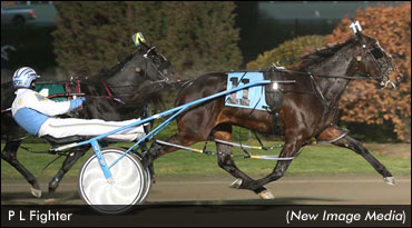 P L Fighter Upsets In Autumn Final P L Fighter Upsets In Autumn Final