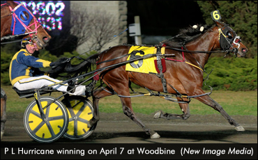 P L Hurricane Prevails In Preferred