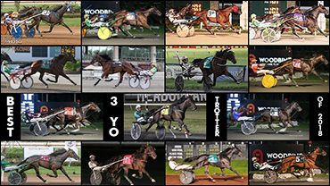 Which Trotter Had The Best Year?