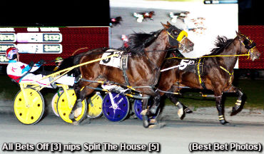 All Bets Off Perfect In Potomac