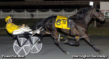 Rookies Battle In DSBF Elims