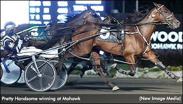 Pretty Handsome Powers In Preferred