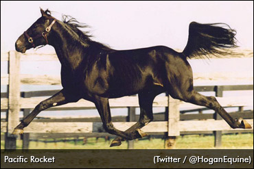 Pacific Rocket Passes