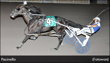 Pacinello Seeks Gig Of A Lifetime