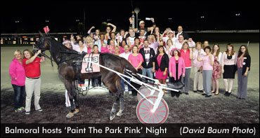 Balmoral Paints The Park Pink