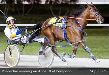 Panocchio Takes Pompano Open Pace