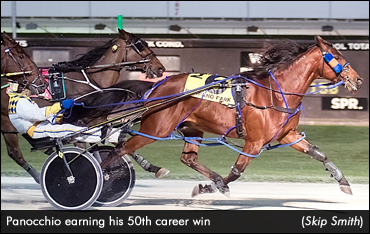 Panocchio Scores 50th Career Win